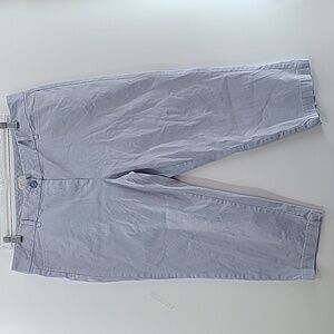 LOFT OUTLET PETITE‎ Women's Original Crop Pants Blue Stripes - Size 14 Petite